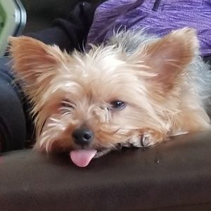 Meet your Posher, Roxie